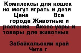 Комплексы для кошек, но могут играть и дети › Цена ­ 11 900 - Все города Животные и растения » Аксесcуары и товары для животных   . Забайкальский край,Чита г.